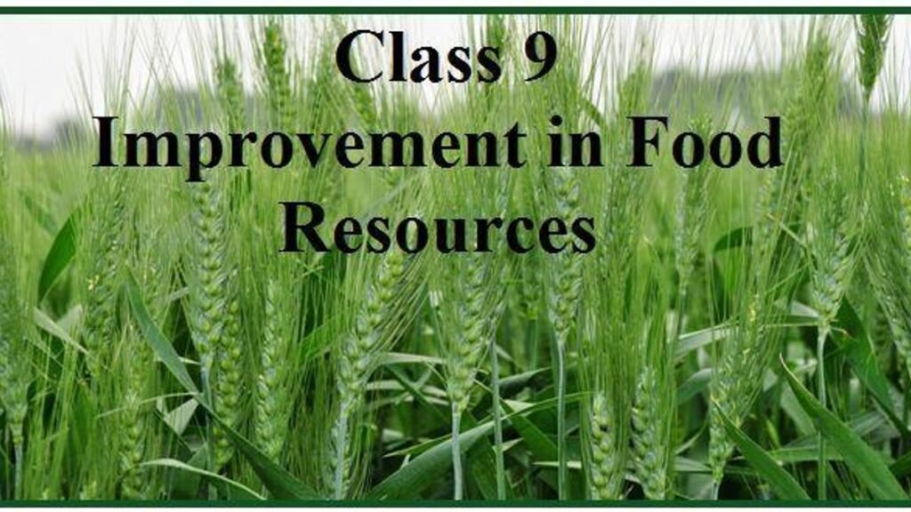  Chapter 15 – Improvement in Food Resources